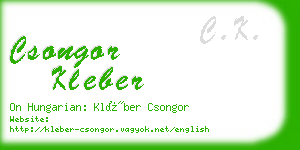 csongor kleber business card